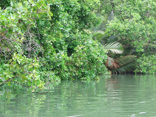 Ujung Kulon National Park